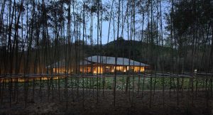 Daoming Bamboo Craft Village von Archi-UnionArchitecture Design, Foto: Bian Lin