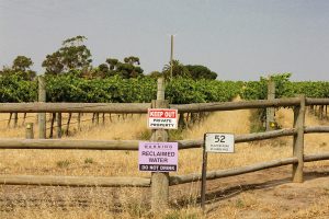 Hinweise, dass das für den Wein verwendete Wasser in Adelaide kein Trinkwasser ist, Foto: Simon Gehrmann